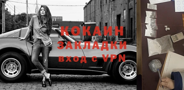 шишки Краснотурьинск