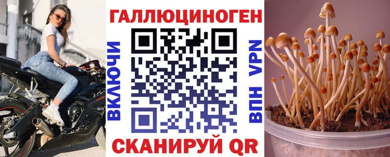 Псилоцибиновые грибы Cubensis  маркетплейс формула  Углич 