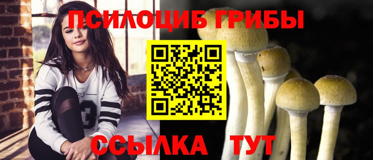 Галлюциногенные грибы Psilocybine cubensis  Вход с VPN  Углич 